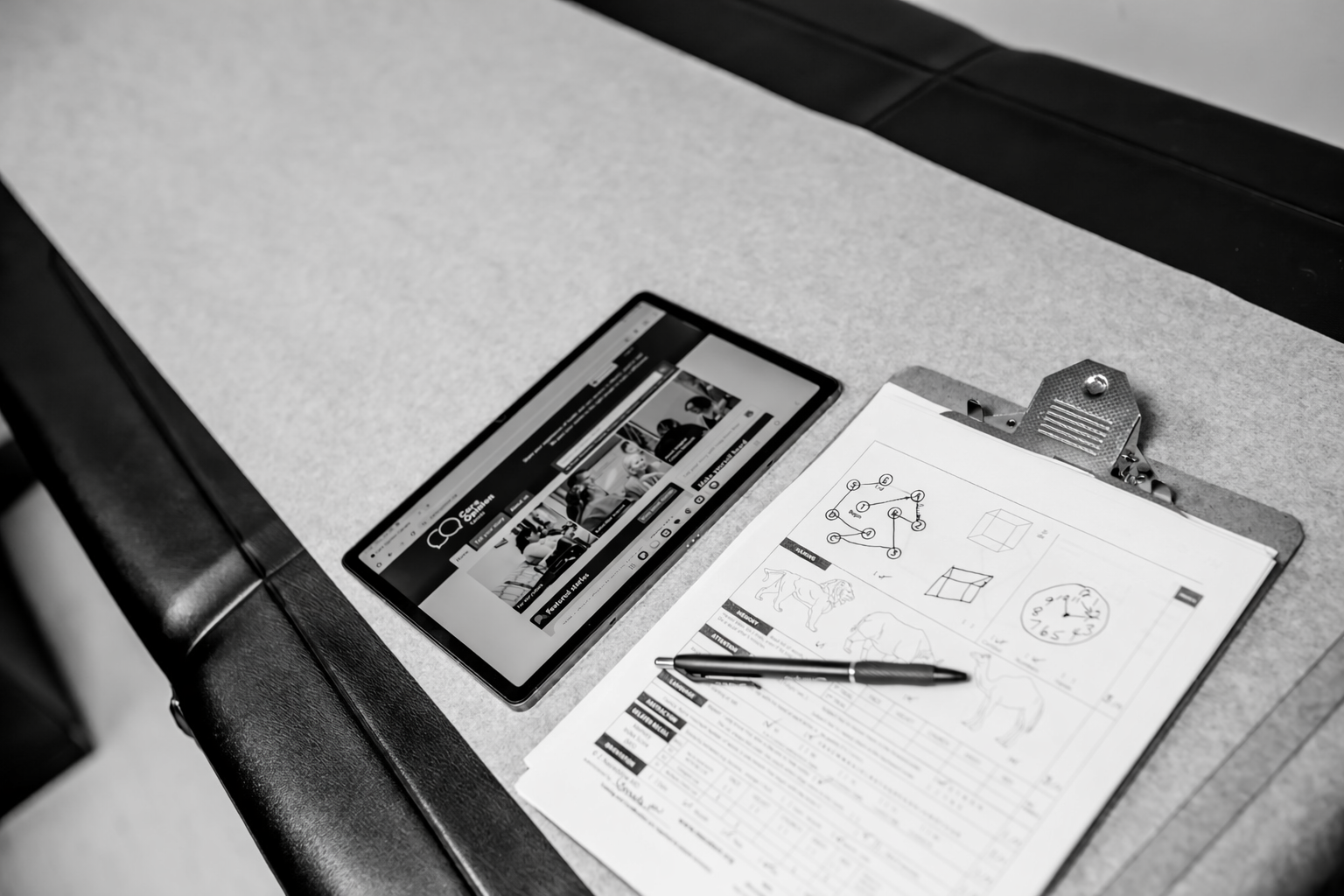 {{brizy_dc_image_alt imageSrc=